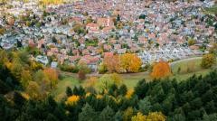 Waldkirch von oben