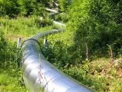 Riesenröhrenrutsche führt durch den Wald.