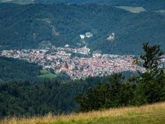 Umgeben von Wäldern ist Waldkirch auf diesem Foto zu sehen.