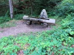 Ein Brunnen im Wald.