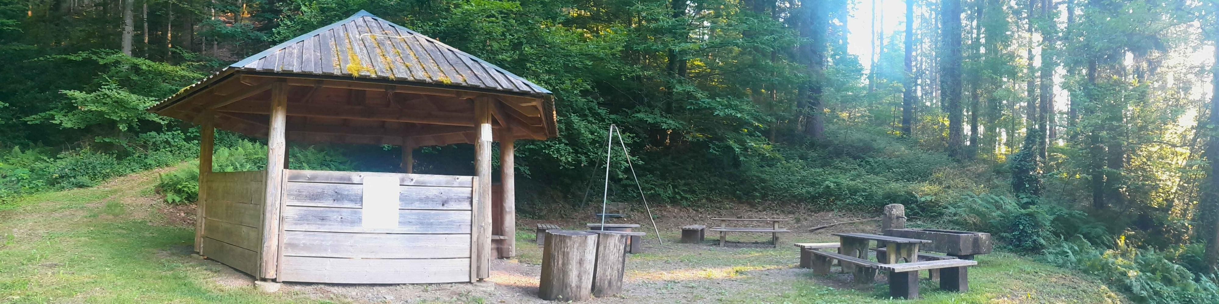 Links ist eine Hütte und rechts eine Feuerstelle zu sehen. Der Grillplatz ist umgeben von Wald auf einer grünen Wiese.