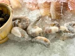 Garnelen liegen auf Eis in einem Marktstand. Im Anschnitt sind noch weitere Fischsorten zu erkennen.