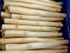 In einer blauen Kiste liegt Spargel.