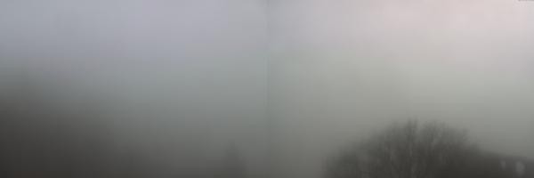 Aktuelle Bilder der Webcam mit Blick in Richtung des Elztals hinauf