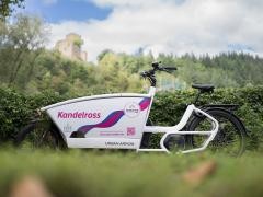 Lastenrad steht vor Bergen. Im Hintergrund erkennt man die Kastelburg.