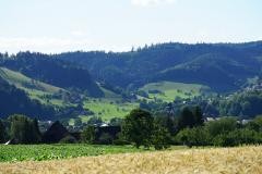Aussicht vom Campingplatz Elztalblick in Richtung Kollnau