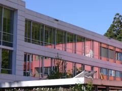 Das Gymnasium spiegelt sich in den Fenstern der Musikschule.