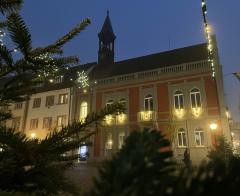Im Bildvordergrund sind Tannenzweige. Dahinter ist das beleuchtete Waldkircher Rathaus zu sehen.