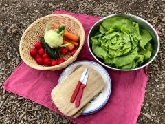Auf einer Decke steht eine Schale mit Salat und eine Schale mit verschiedenem Gemüse. Daneben liegt ein Schneidebrett und Messer.