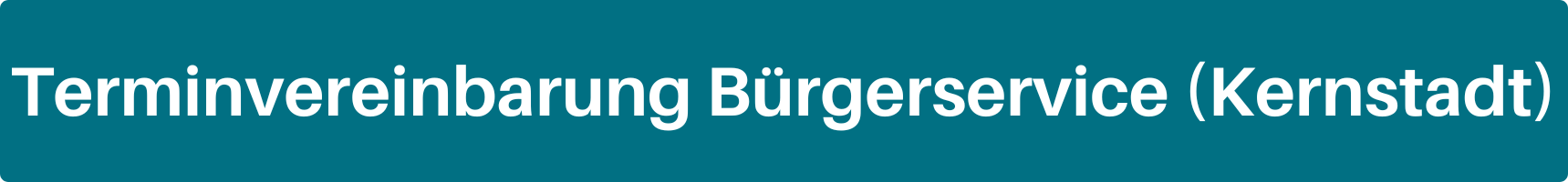 Vor blauem Hintergrund steht "Terminvereinbarung Bürgerservice (Kernstadt)". Link zur Terminvereinbarung Bürgerservice Kernstadt.